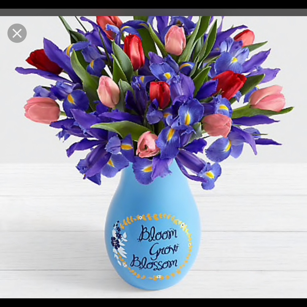 Meet your Posher, Henriette